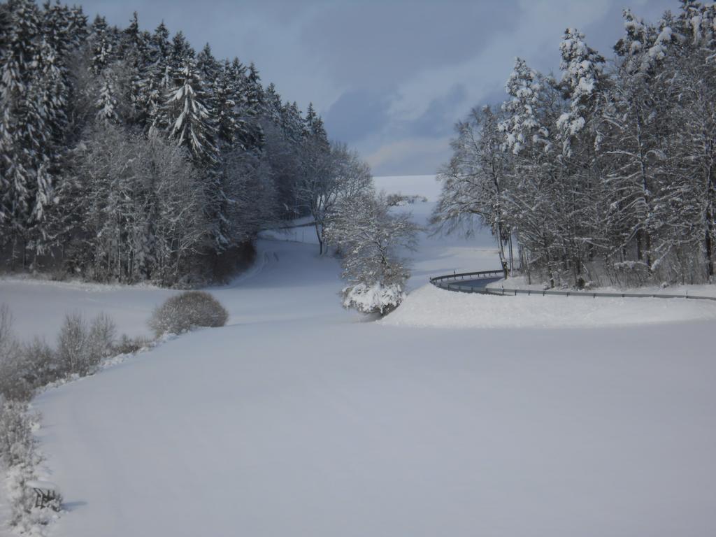 Landgasthof Schutzen Hotel Tengen Eksteriør billede